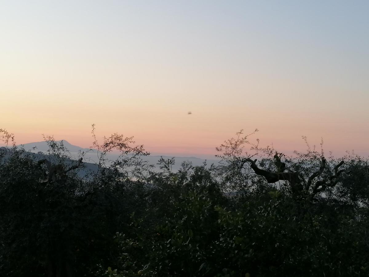 San Valerio Appartamento Sorrento