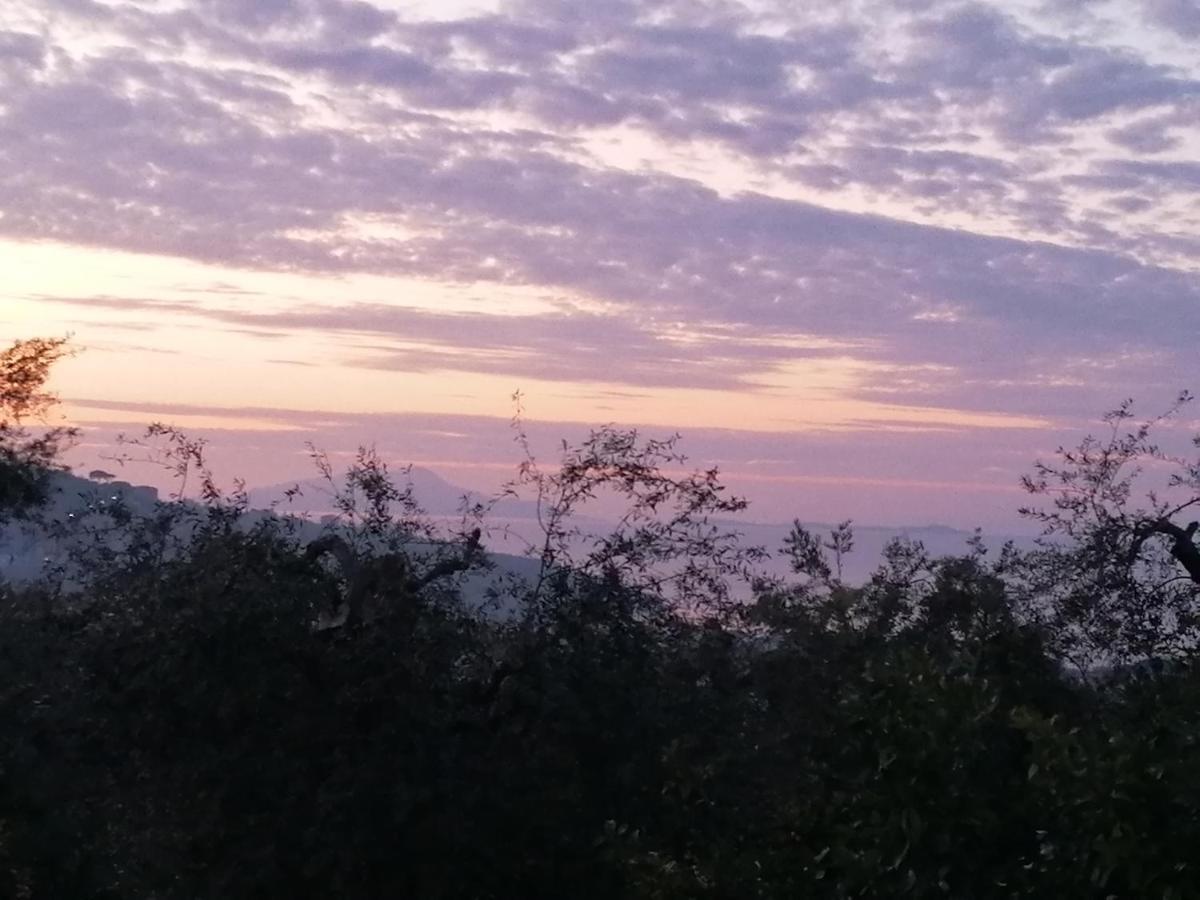 Yourhome - San Valerio Sorrento