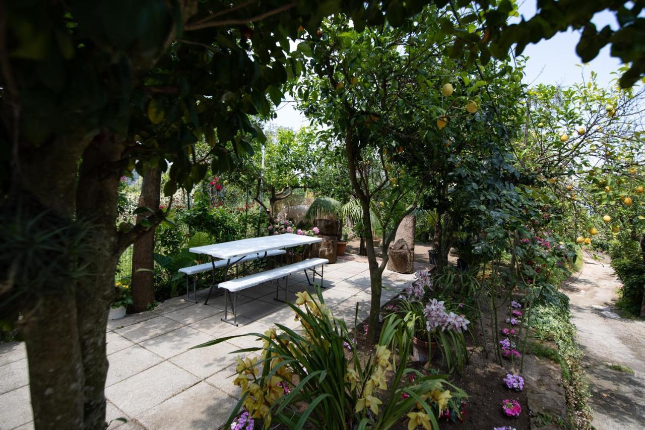 Yourhome - San Valerio Apartment